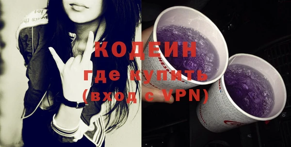 apvp Няндома