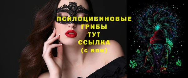 хмурый Алзамай