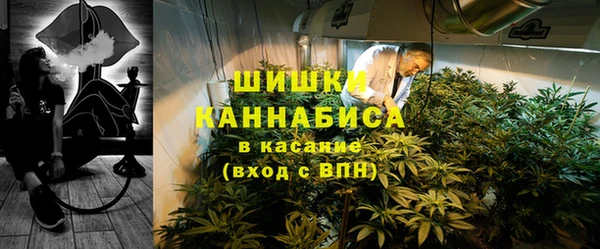 хмурый Алзамай