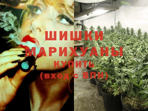 хмурый Алзамай