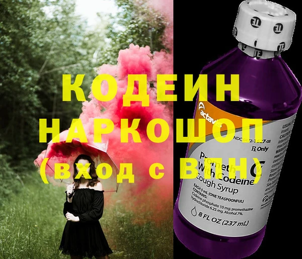 хмурый Алзамай