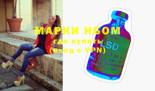 хмурый Алзамай