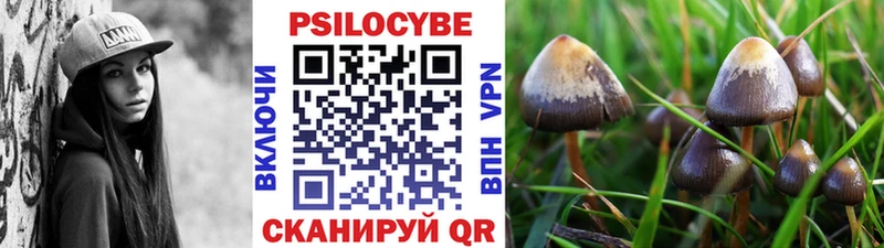 Псилоцибиновые грибы GOLDEN TEACHER купить закладку Сунжа